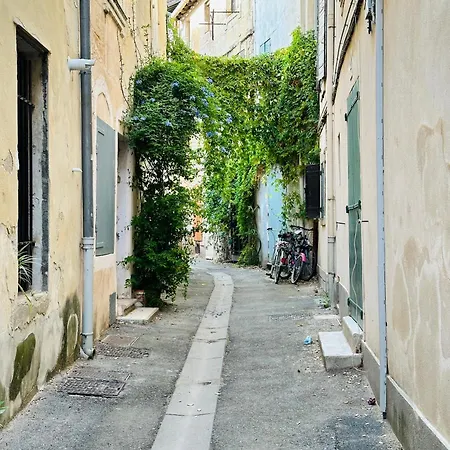 Maison Des Berges Arles Extérieur photo