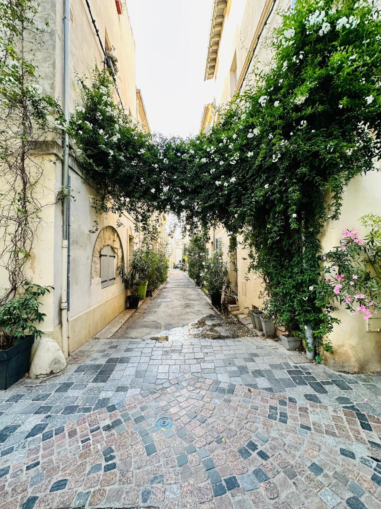 Maison Des Berges Hébergement de vacances Arles