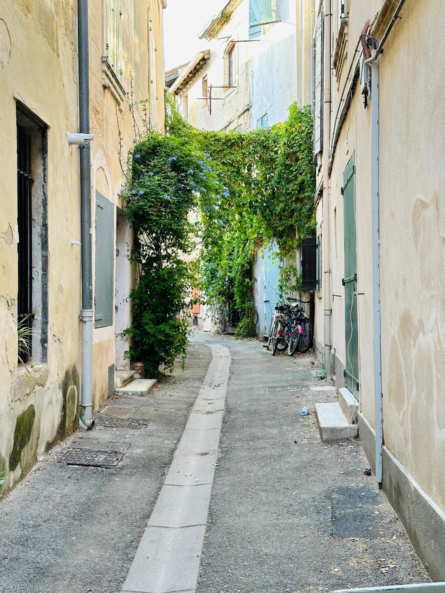 Maison Des Berges Arles